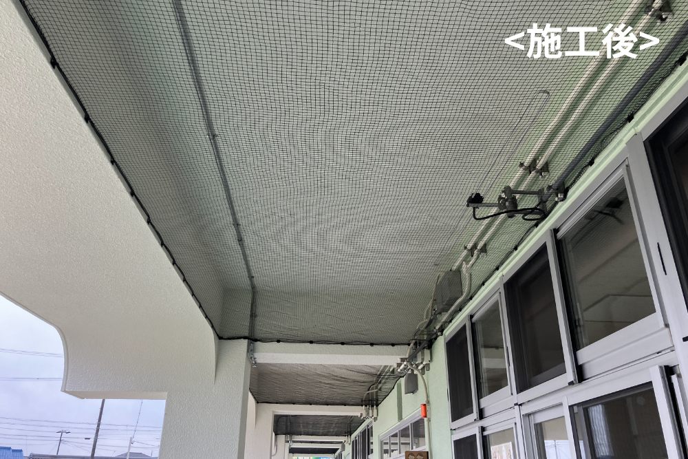 建物の屋外通路の天井一面に、鳥害対策として防鳥ネットを隙間なく施工した後の様子。