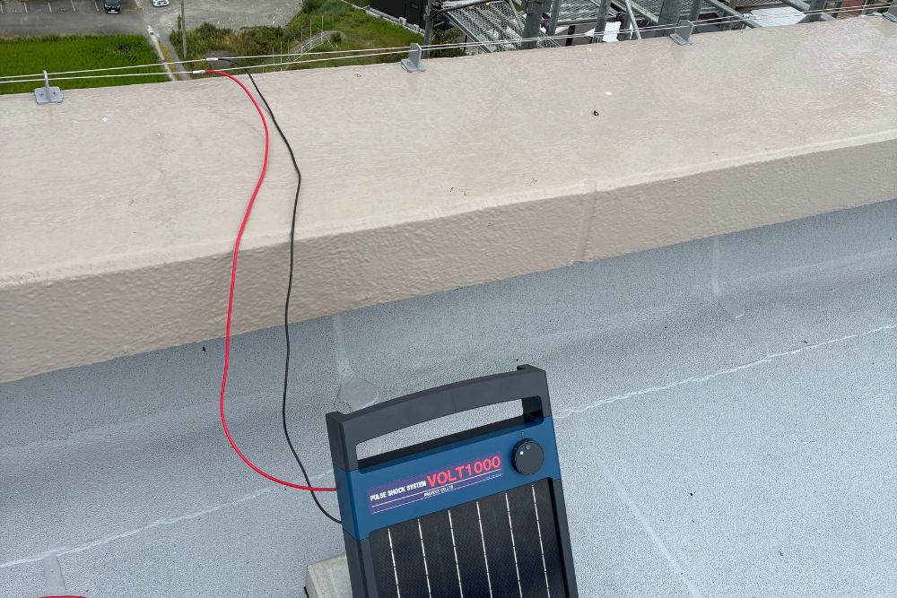 屋上に設置された鳥害対策用のソーラー式電気ショック発生装置。赤と黒のケーブルで外周の防鳥ワイヤーシステムに接続されています。